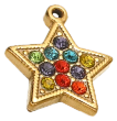 Charm Étoile multicolore