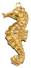 Charm Hippocampe