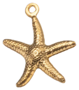 Charm Étoile de mer bronze