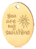 Charm You are my sunshine