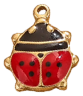 Charm Coccinelle