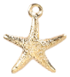 Charm Étoile de mer fine