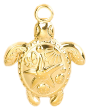 Charm Tortue