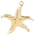 Charm Grande étoile de mer