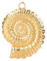 Charm Ammonite
